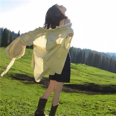 缉凶双宝